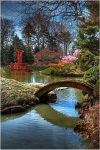 Japanese Garden